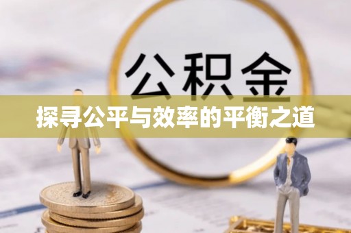 德宏探寻公平与效率的平衡之道