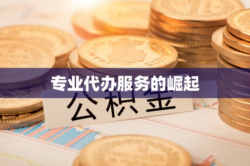德宏专业代办服务的崛起