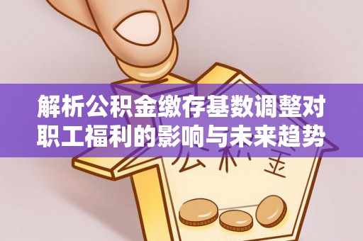 德宏解析公积金缴存基数调整对职工福利的影响与未来趋势