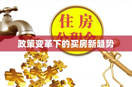 德宏政策变革下的买房新趋势