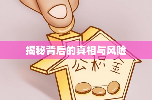 德宏揭秘背后的真相与风险