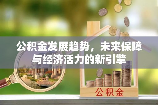 德宏公积金发展趋势，未来保障与经济活力的新引擎