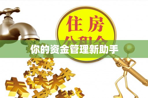 德宏你的资金管理新助手
