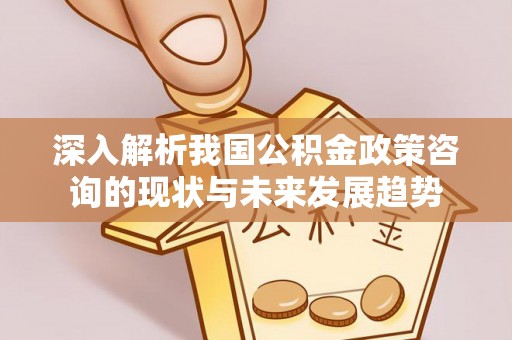 德宏深入解析我国公积金政策咨询的现状与未来发展趋势