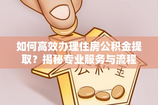 德宏如何高效办理住房公积金提取？揭秘专业服务与流程