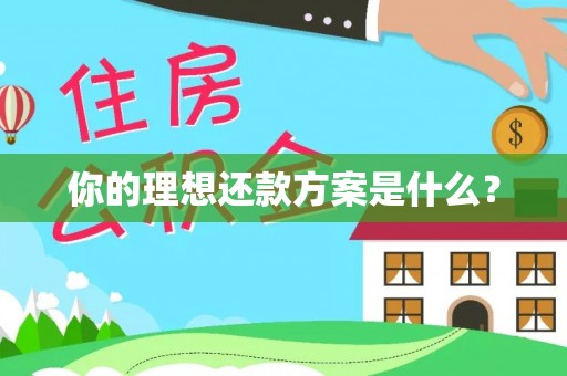 德宏你的理想还款方案是什么？