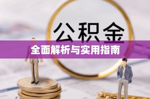 德宏全面解析与实用指南