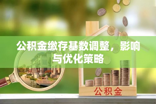 德宏公积金缴存基数调整，影响与优化策略