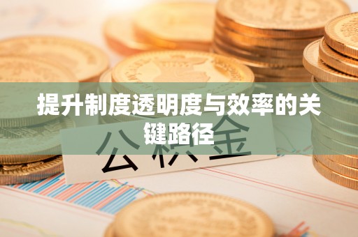 德宏提升制度透明度与效率的关键路径
