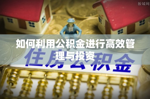 德宏如何利用公积金进行高效管理与投资