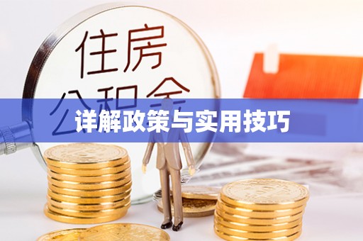德宏详解政策与实用技巧